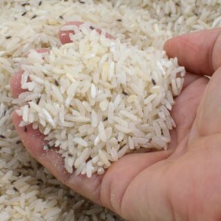 Antisipasi Dampak Kekeringan, Pemkot Semarang Bersama Sentra Beras Jamin Pasokan Pangan