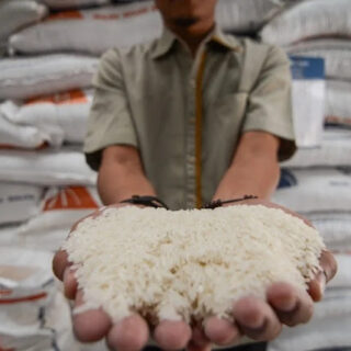 India Larang Eskpor Beras, Distan Kota Semarang: Stok Beras di Semarang Aman