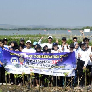 Peduli Konservasi, Ribuan Maba Udinus Tanam Mangrove di Pantai Mangunharjo