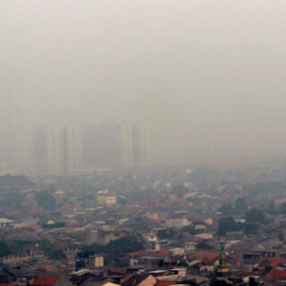 Kurangi Dampak Polusi, Pemkot Semarang Bakal Tambah Pohon di Jalanan Protokol