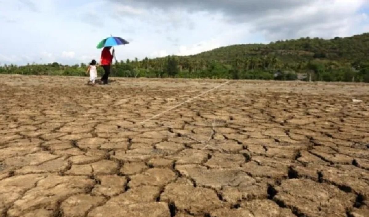 BPBD Kota Semarang: Waspada Kebakaran di Musim Kemarau