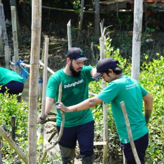 Pesan Penting dari LindungiHutan Memperingati Hari Lingkungan Hidup Sedunia