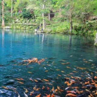 Telaga Biru Cicerem, Destinasi Wisata Alam di Kuningan yang Murah Meriah