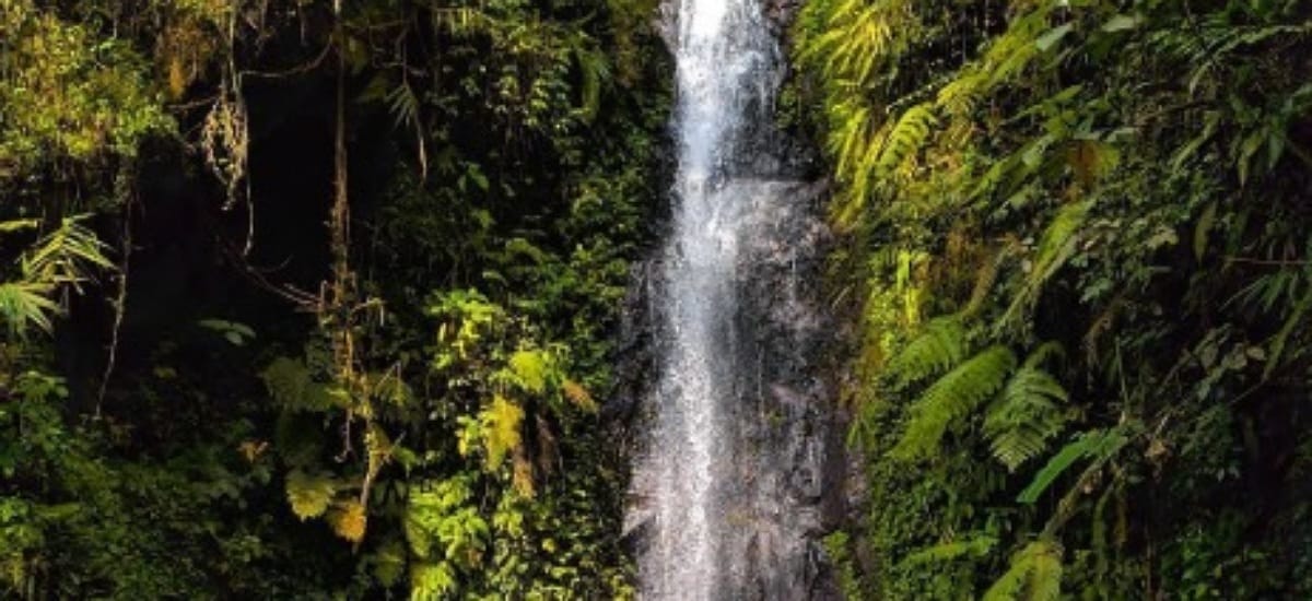 4 Rekomendasi Wisata Air Terjun di Subang, Jawa Barat, Pas untuk Melepas Penat