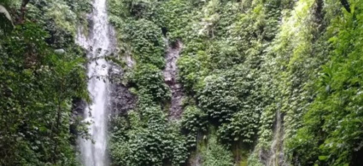 Mengenal Curug Lawe Semarang : Keindahan Alam Tersembunyi di Lereng Gunung Ungaran