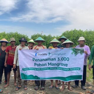 Cegah Abrasi, Stockity Tanam 3.000 Mangrove di Pesisir Semarang