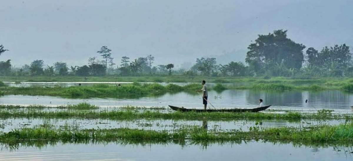 Mengenal Desa Wisata Bejalen: Sensasi Menyusuri Danau Rawa Pening dari Pinggiran yang Damai