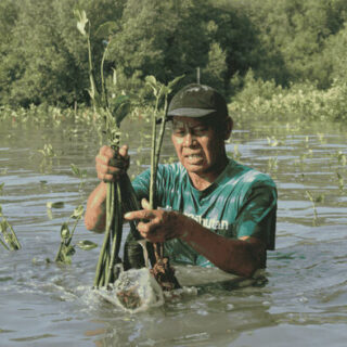 22 Mei, LindungiHutan Serukan Pentingnya Lindungi Habitat untuk Masa Depan Alam