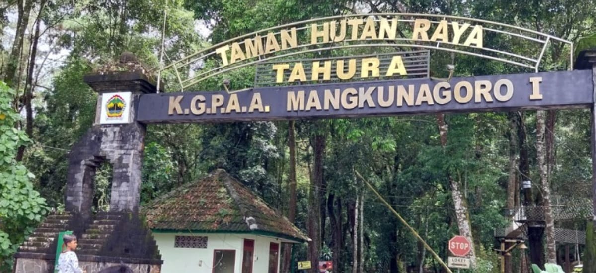 Mengenal Tahura Ngargoyoso: Surga Hutan Asri di Lereng Lawu yang Cocok untuk Healing dan Piknik