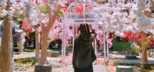 Inilah Waduk Cengklik Park: Liburan Seru dan Hemat di Boyolali