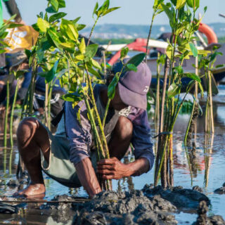 Hari Lingkungan Hidup Sedunia 2025, Kunci Pulihkan Alam