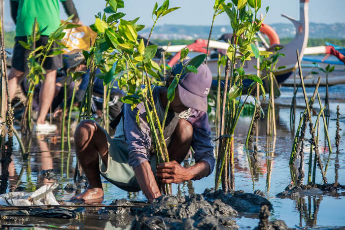 Hari Lingkungan Hidup Sedunia 2025, Kunci Pulihkan Alam