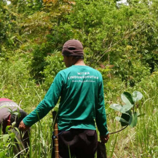 LindungiHutan Dorong Perusahaan Perluas Dampak CSR hingga Tingkat Ekosistem