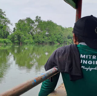 Upaya LindungiHutan Rehabilitasi Mangrove di Kota Pesisir