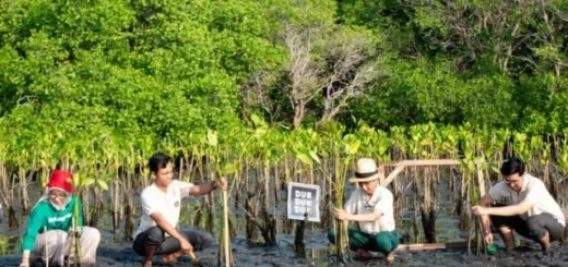 600+ Brand Telah Bergabung Tanam Pohon: Green Branding Bukan Sekadar Trend