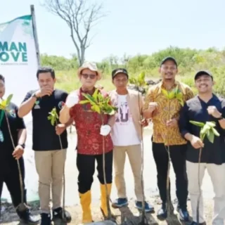 Peringati Hari Mangrove, PB HMI dan Cirebon Power Tanam Ribuan Mangrove