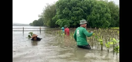 LindungiHutan Ajak Publik Lestarikan Alam di Hari Konservasi Alam Sedunia