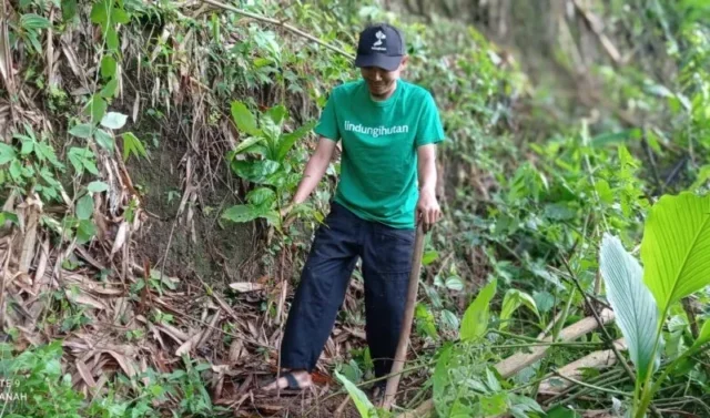Tiga Lokasi Penanaman Paling Mendesak Tahun Ini: Wonogiri, Cilacap, Mempawah
