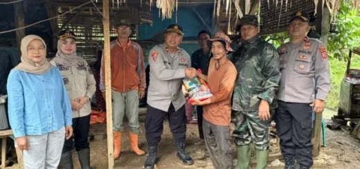 Sinergi Polres Banjar, Pemerintah, dan Warga Sukses Tanam Jagung di Lahan Sawah Baku