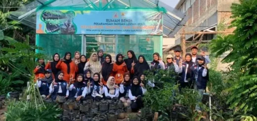 Mahasiswa KKN UIN SSC Tanam Kangkung dan Panen Terong Bersama KWT di Desa Munjul