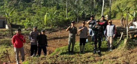 Polres Garut Tanam Jagung di Lahan 1,5 Hektare, Dukung Ketahanan Pangan Nasional