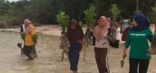 Perempuan Penjaga Pesisir: Mak Jah dan Teh Aas, Simbol Gerakan Hijau