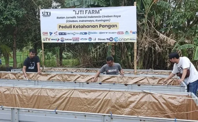 Lewat IJTI Farm, Jurnalis Cirebon Belajar Wirausaha dan Budidaya Ikan Lele
