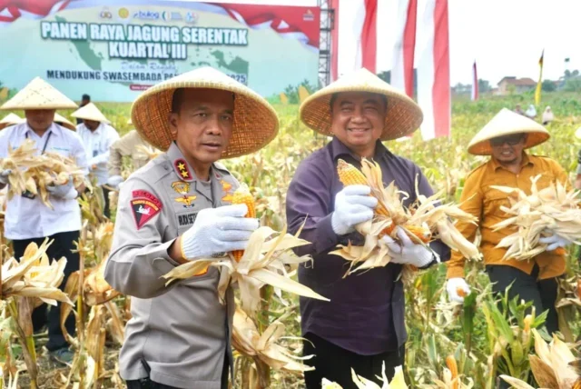 Polda Jabar Sukses Gelar Panen Raya Jagung, Bukti Nyata Dukung Swasembada Pangan Nasional 2025