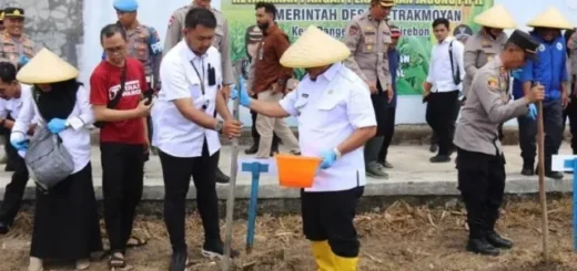 Harga Jagung Pipil Naik, Pemkab Cirebon Gencarkan Penanaman Bersama Polresta untuk Dukung Petani