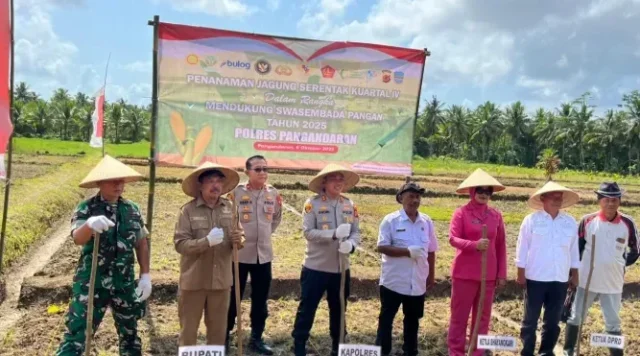 Polres Pangandaran Gelorakan Semangat Swasembada Pangan, Pimpin Penanaman Jagung Serentak dan Dapatkan Dukungan Penuh dari Forkopimda
