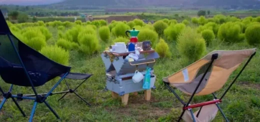 Glamping di Bogor: 8 Destinasi Terbaik untuk Liburan Nyaman dan Dekat dengan Alam