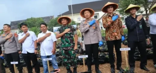 Dukung Program Presiden, Polres Sumedang Tanam 15 Ribu Ubi Cilembu