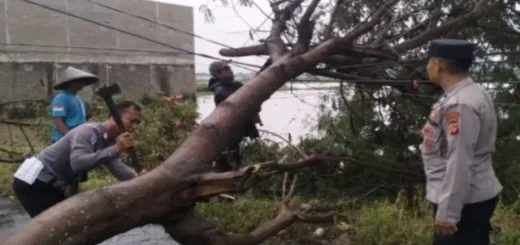 Respon Cepat Polresta Bandung Tangani Pohon Tumbang di Jalan Gorodog