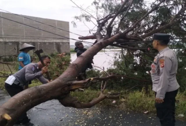 Respon Cepat Polresta Bandung Tangani Pohon Tumbang di Jalan Gorodog
