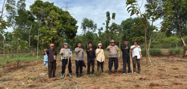 Kapolsek Purwakarta Kota Dukung Ketahanan Pangan dengan Menanam Jagung Hibrida Bersama Warga