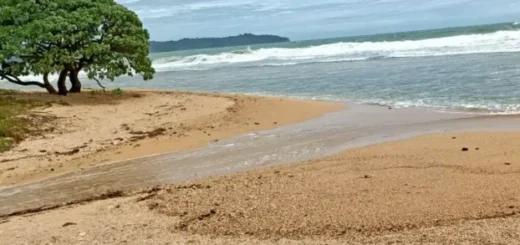 Liburan ke Pangandaran? Nikmati 2 Pantai Indah dan Seafood Segar Berikut Ini Saja!