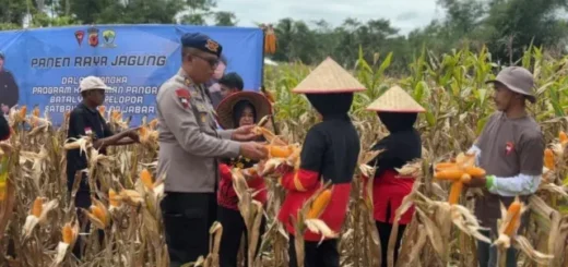 Ultimatum: Polrestabes bandung Siap Tindak Tegas Mata Elang Perampas Kendaraan Warga di Jalan