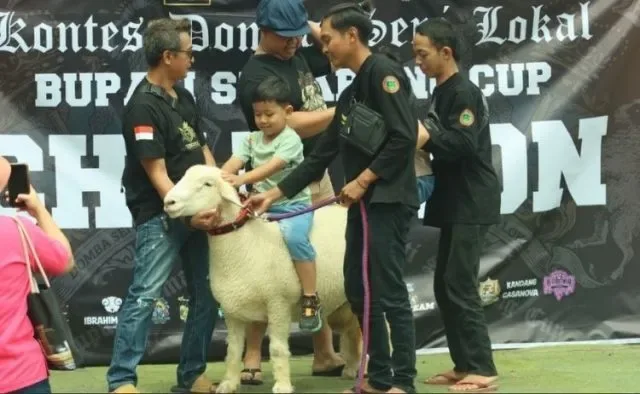 Kontes Domba Seni Lokal Semarang Cup Dorong Peternak Muda Kembangkan Domba Unggul