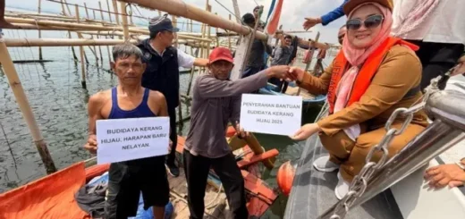 Pemkot Cirebon Optimalkan Budidaya Kerang Hijau