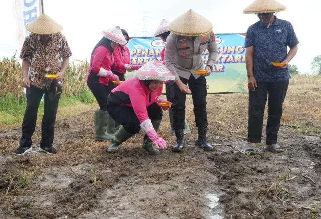 Dukung Ketahanan Pangan, Polres Cirebon Kota Siapkan Lahan Jagung 11 Hektare