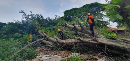 Sepanjang 2025, BPBD Kota Cirebon Tangani 156 Kejadian Bencana