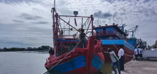 Strategi DKP3 Kota Cirebon: Optimalisasi UPT dan Layanan Digital untuk Tingkatkan PAD 2026