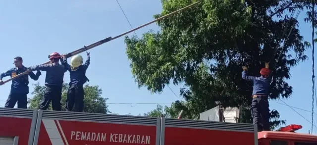 Bukan Sekadar Pemadam Api, Damkar Kota Cirebon Jadi Andalan Warga Sepanjang 2025