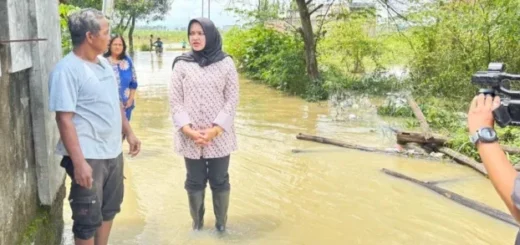 Sungai Cijangkelok dan Cisanggarung Meluap, Sophi Zulfia Tinjau Langsung Lokasi Banjir