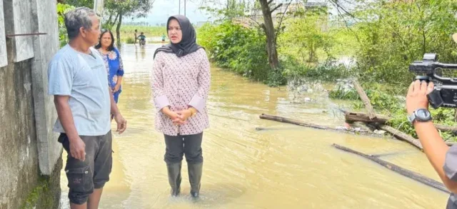 Sungai Cijangkelok dan Cisanggarung Meluap, Sophi Zulfia Tinjau Langsung Lokasi Banjir