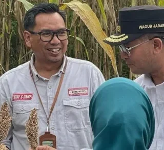 Kabupaten Cirebon Jadi Percontohan Pengembangan Sorgum untuk Diversifikasi Pangan