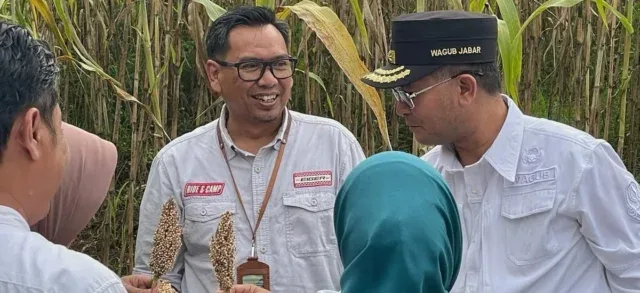 Kabupaten Cirebon Jadi Percontohan Pengembangan Sorgum untuk Diversifikasi Pangan