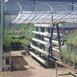 Urban Farming Terpadu Jadi Solusi Krisis Lahan Pertanian di Kota Cirebon