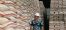 Stok Beras Cirebon Aman, Bulog Pastikan Cadangan Tembus 158 Ribu Ton