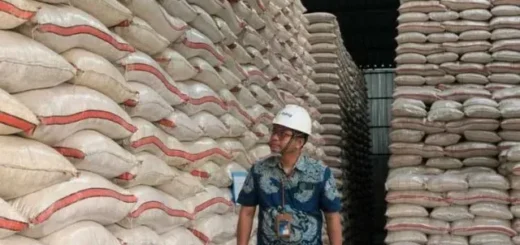 Stok Beras Cirebon Aman, Bulog Pastikan Cadangan Tembus 158 Ribu Ton